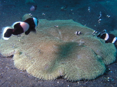 P4230212.JPG