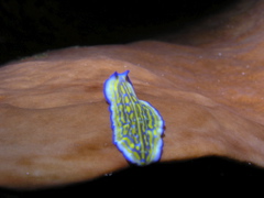 P4260022.JPG
