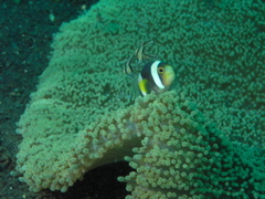 P4230214.JPG
