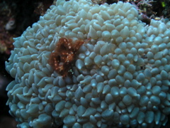 P4270106.JPG