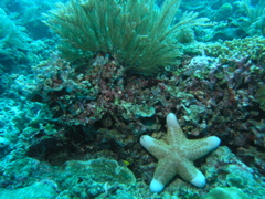 P4260106.JPG