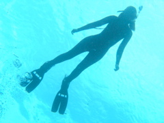 P4270029.JPG