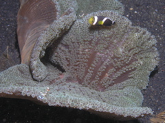 P4220083.JPG
